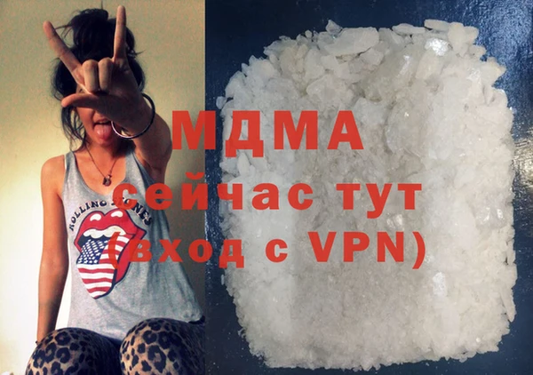 амф Гусь-Хрустальный